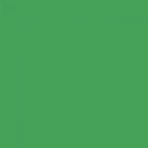 צבע אקריליק - MOLOTOW One4All 180ml - 221-grasshopper