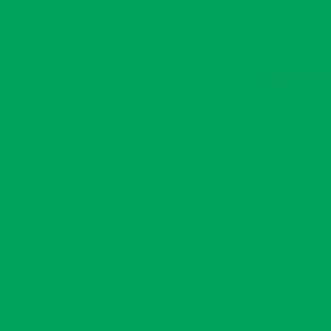 צבע סטיק שמן - Sennelier - cinn-green-d