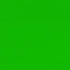 אקריליק - Lascaux Studio 250ml - 954-permanent-green-light